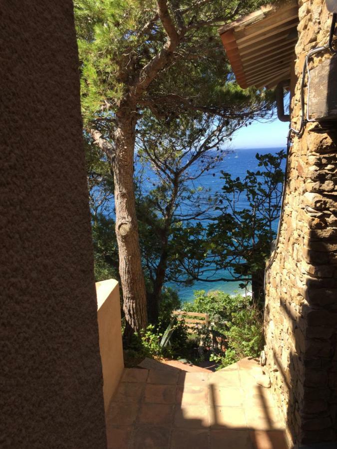 Ferienwohnung Le Baou " Les Pieds Dans L'Eau " Carqueiranne Exterior foto